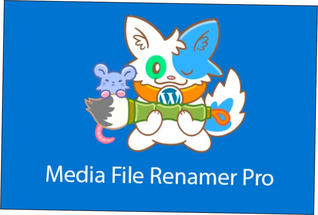 Preview of Media File Renamer Pro
